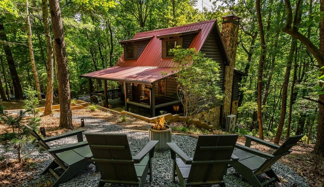 Cozy, bohemian cabin nestled in the Rich Mountain Wilderness