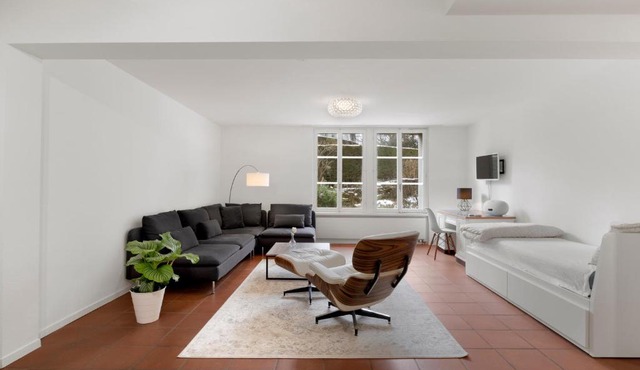 Cozy Boutique Apartment at Mt. Rigi