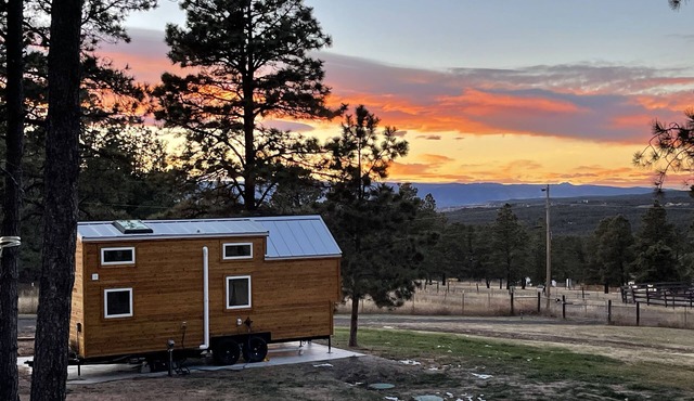 Cozy brand new tiny home! Amazing experience