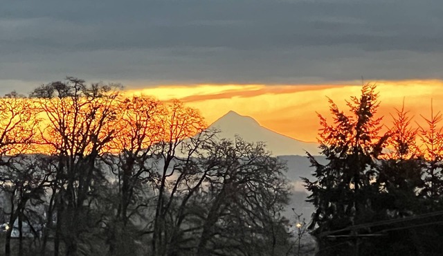 Cozy Bungalow nestled in the country close to wineries, coast, hiking and golf!