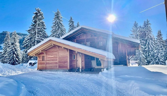 Cozy chalet for 6-8 with wood stove and sunny terrace