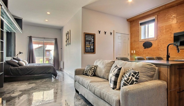 Cozy charming winter Studio for skiers Mt Ste-Anne @ 2 km and Le Massif @ 35km