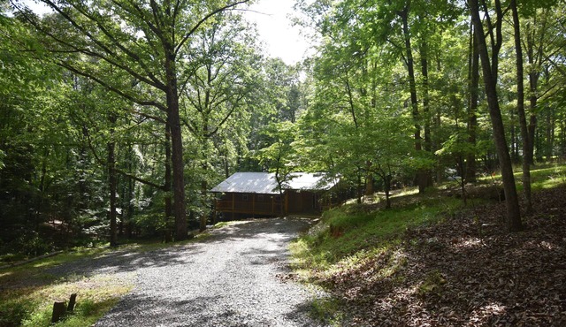 Cozy cabin, 1.5 miles to downtown McCaysville; shops/restaurants & Toccoa River