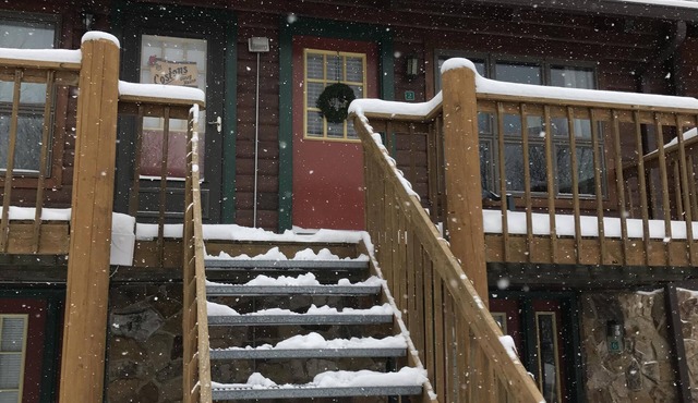 Cozy Cabin 1 BR Snowshoe