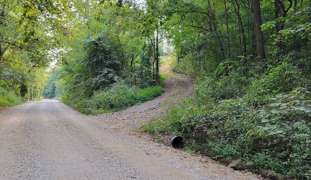 Cozy cabin 16 miles from Razorback Stadium great for game weekends. No pets.