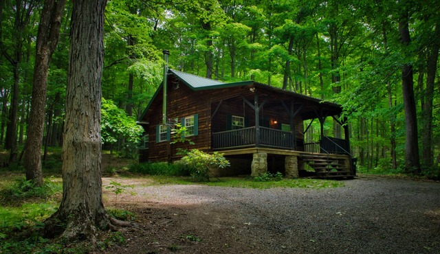 Cozy Cabin Among the Trees - Rustic Charm, Modern Comforts, 26 Secluded Acres