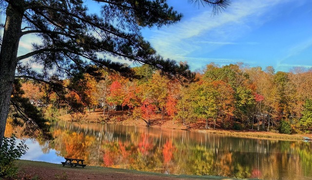 Cozy cabin and fall leaves! Swim, Horses, hiking, lake-3 mi from Helen! Relax!