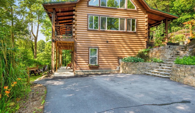 Cozy Cabin Apartment - 12 minutes from downtown Asheville