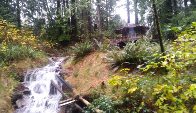 Cozy Cabin at SunRay Shire