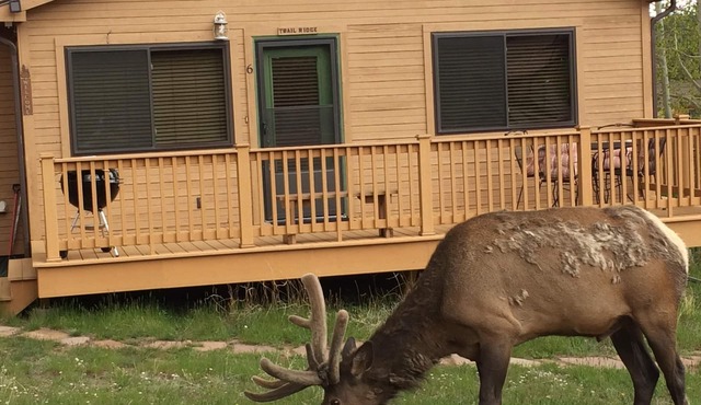 Cozy cabin by the Big Thompson river - Close to Downtown and RMNP