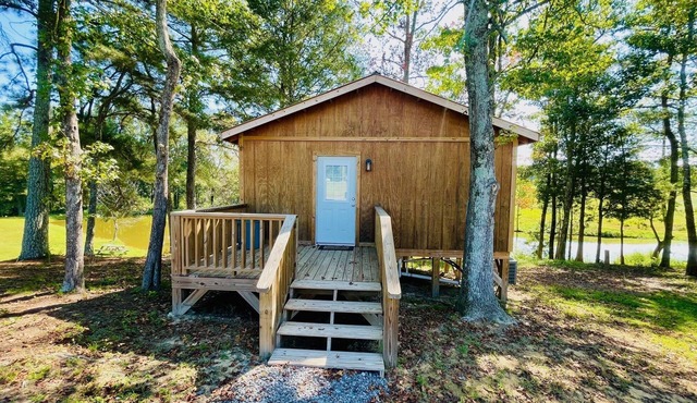 Cozy Cabin by Turtle Creek w/pond view
