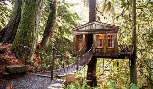 Cozy cabin