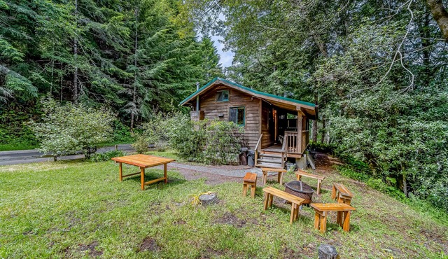 Cozy cabin, family-friendly, with fishing, washer/dryer, patio, & WiFi