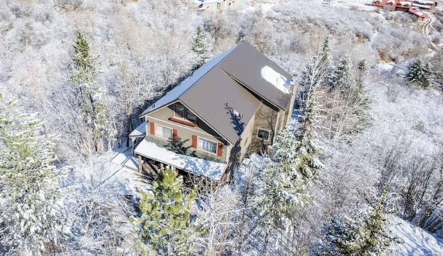 Cozy Cabin for the Whole Family!