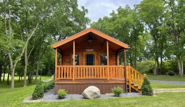 Cozy Cabin get away to Finger Lakes Wine Country