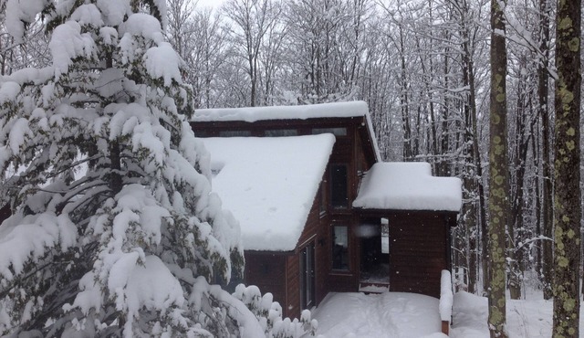 Cozy Cabin Getaway - Convenient to 4 Ski Areas, Hiking and Mountain Bike Trails