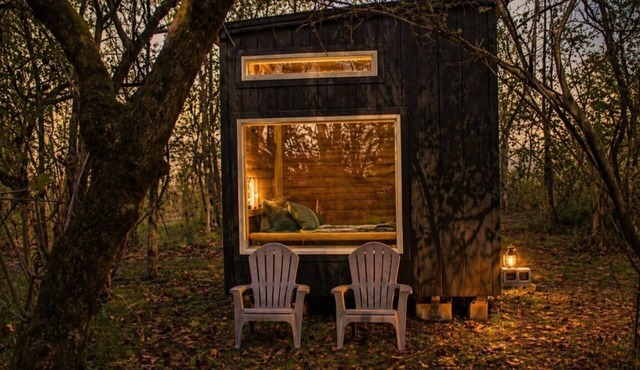 Cozy Cabin Getaway Surrounded by Spring Fed Creeks and Pond