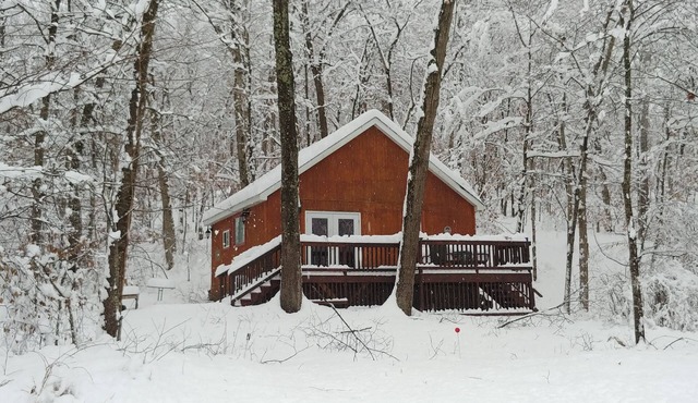 Cozy cabin getaway with hot-tub under stars!