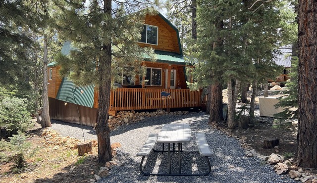 Cozy Cabin Hidden in the Pines! Explore So. Utah including Cedar, Bryce,&Zion NP