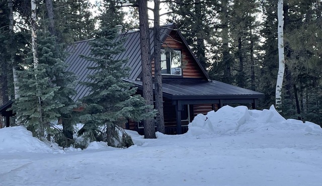 Cozy cabin in Duck Creek