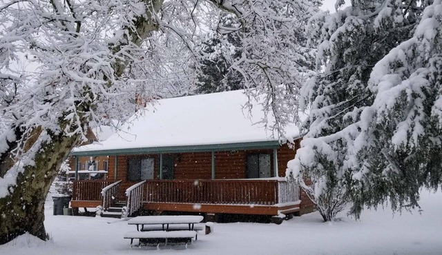 Cozy Cabin in a River Community