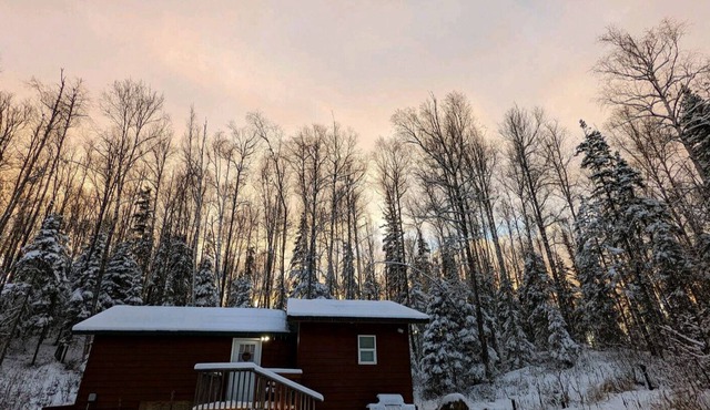 Cozy Cabin in Big Lake, with private Hot tub