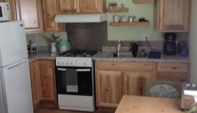 Cozy cabin in charming Rogersville area with WiFi, AC. Rural