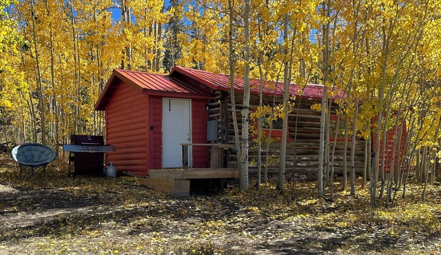 Cozy cabin in charming CO mountains near the WY boarder