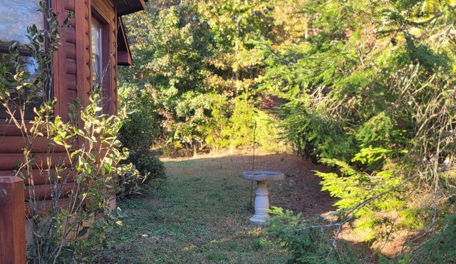 Cozy cabin in charming Columbus. Minutes from Equestrian Center, vineyards etc.