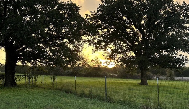 Cozy cabin in Glen Rose with AC, WiFi, Close to all major attractions!