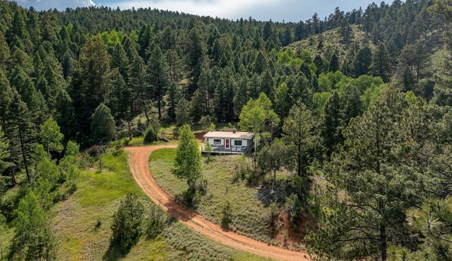 Cozy cabin in Pike National Forest