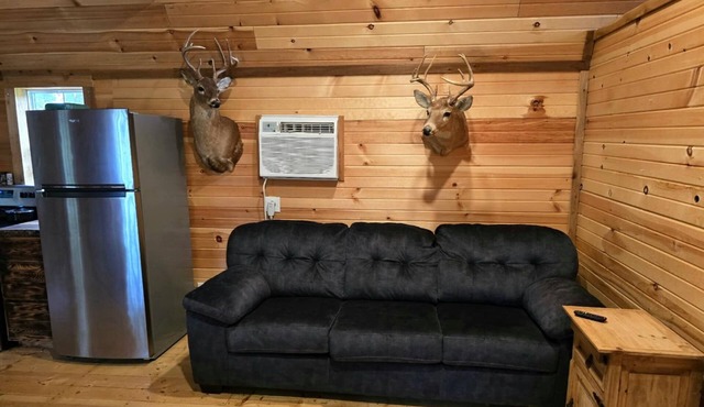 Cozy cabin in pleasant Lebanon with AC