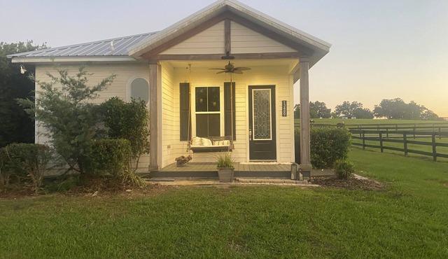 Cozy cabin in serene Reddick with WiFi, AC