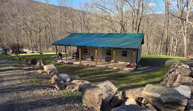 Cozy cabin in serene Hendricks with WiFi, AC