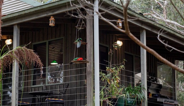 Cozy cabin in the Otway National Parkn