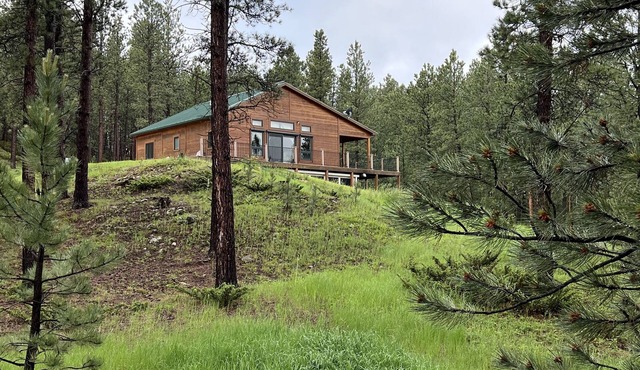 Cozy cabin in the beautiful Black Hills