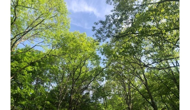 Cozy Cabin in the Catskills