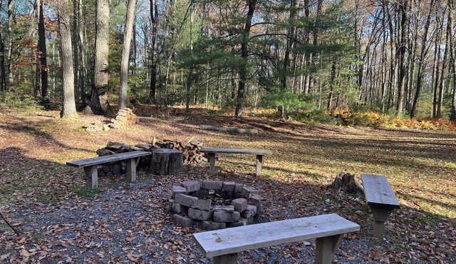 Cozy Cabin in the heart of the Big Woods