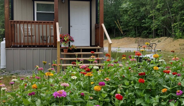 Cozy cabin in the mountains with hiking trails and gorgeous waterfalls close by!