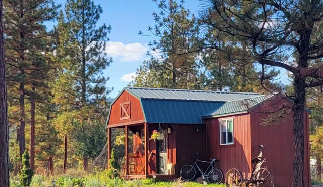 Cozy Cabin in the Pines