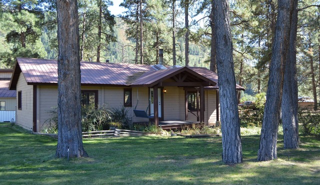 Cozy Cabin in the Pines! Beautiful property with lots of space!