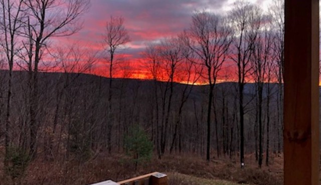 Cozy cabin in the woods on top of the ridge. A quiet retreat.
