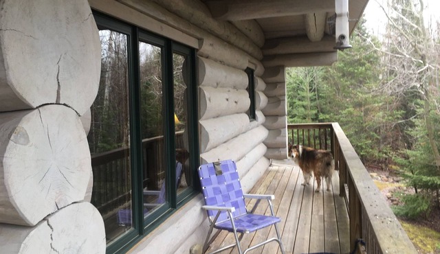 Cozy cabin in the woods