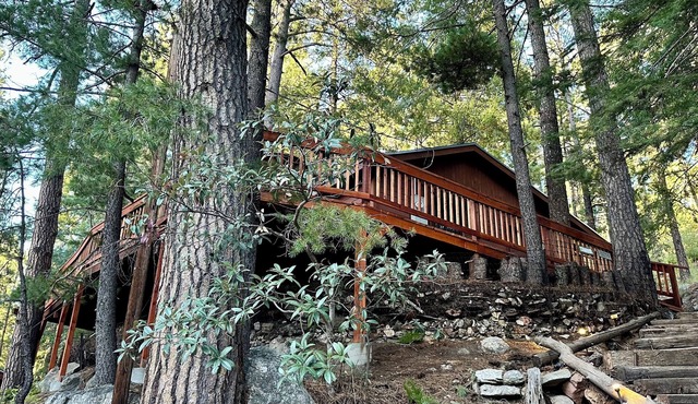 Cozy Cabin in the Pines