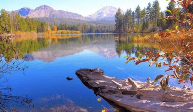 Cozy cabin in the woods