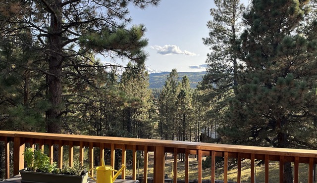 Cozy cabin in the woods. 12 min from the Angel Fire ski resort; 6 to golf course