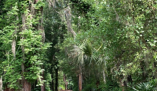 Cozy Cabin in the Woods - 10% Off Week's Stay