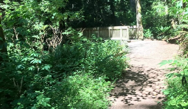 Cozy Cabin in the Woods