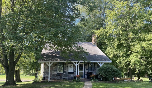 Cozy Cabin in the woods