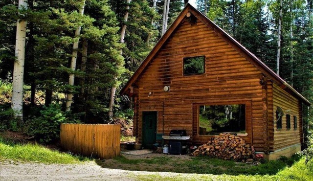 Cozy Cabin in the Woods at Columbine Lake just 1 Mile from Purgatory Ski Resort